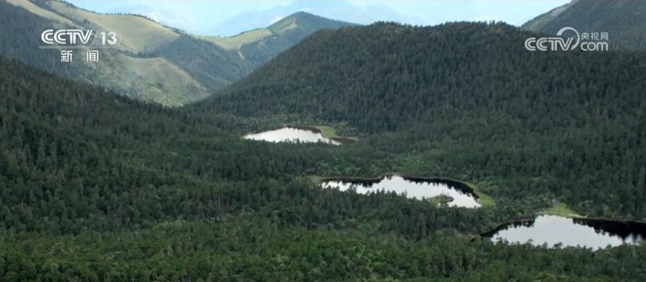 加強生物多樣性保護 “雪山精靈”滇金絲猴種群數量穩步增加(圖1)