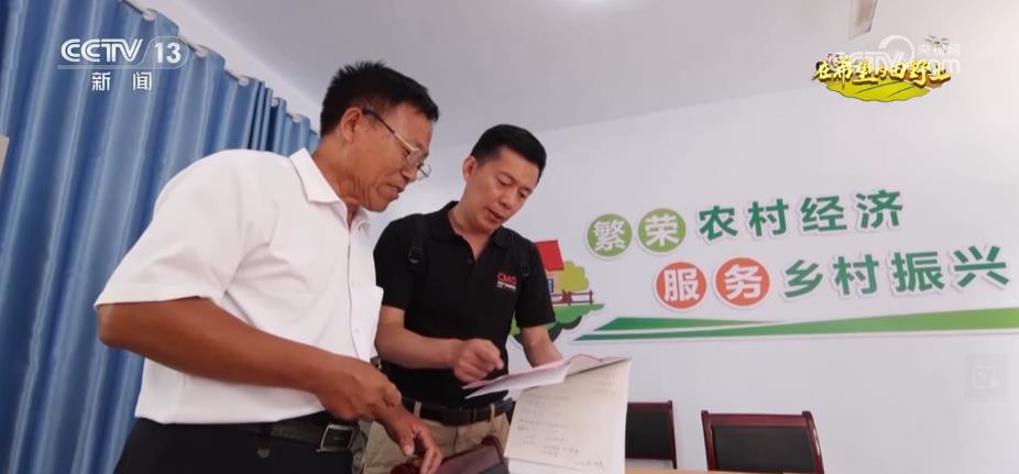 糧食主產區迎豐收 規模化經營 為好技術找到用武之地(圖8)
