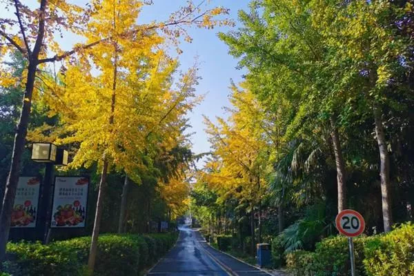 禾泉小鎮(zhèn)兩日游路線應(yīng)該怎么安排