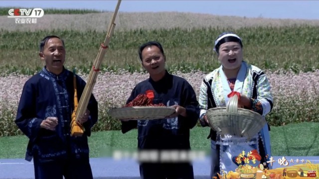豐晚我來(lái)啦！《豐收集結(jié)號(hào)》探秘你不知道的“非遺”技藝(圖6)