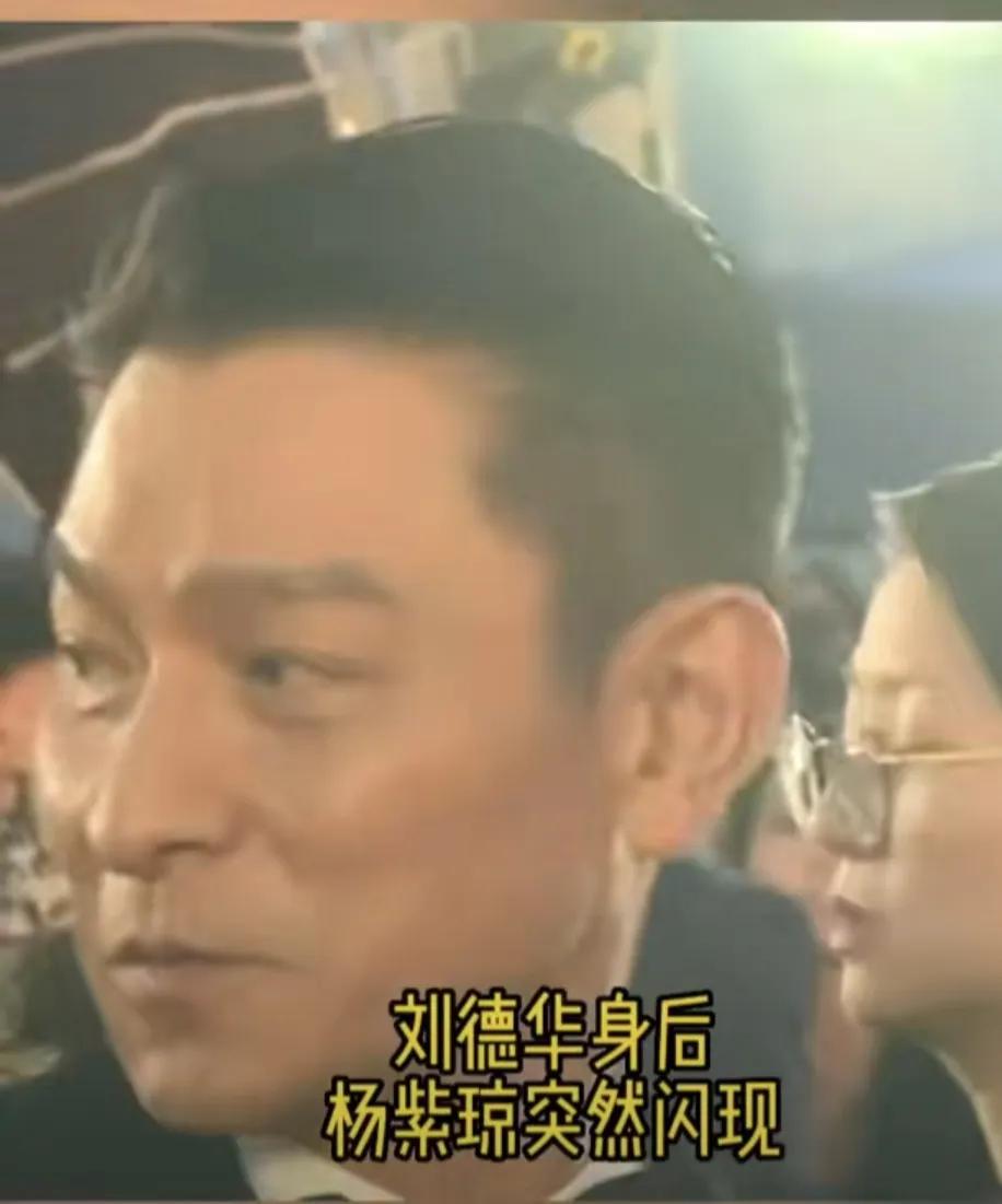 楊紫瓊突然勾肩劉德華，將對(duì)方嚇一跳，華哥透露驚喜消息(圖6)