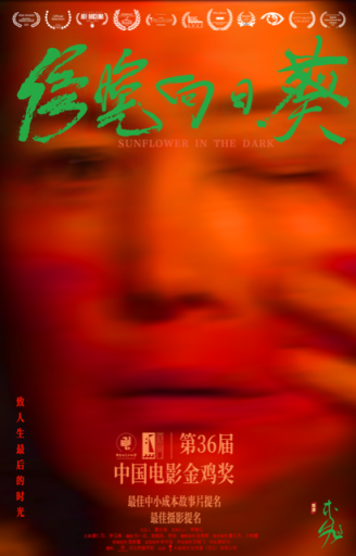 《傍晚向日葵》獲金雞獎兩項提名 將于年內(nèi)上映(圖1)