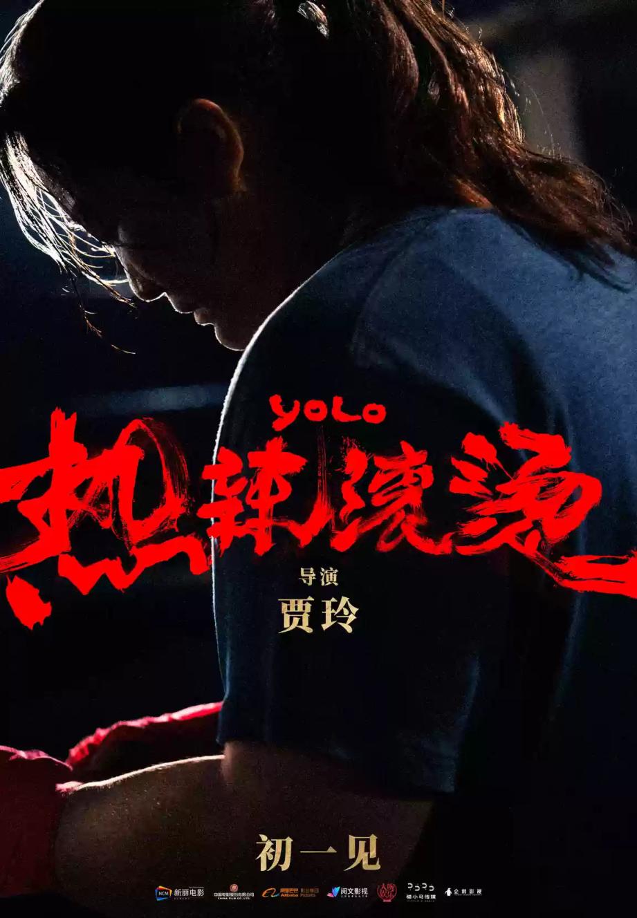 春節檔火熱，張藝謀、賈玲、寧浩、韓寒誰會獨領風騷？(圖4)