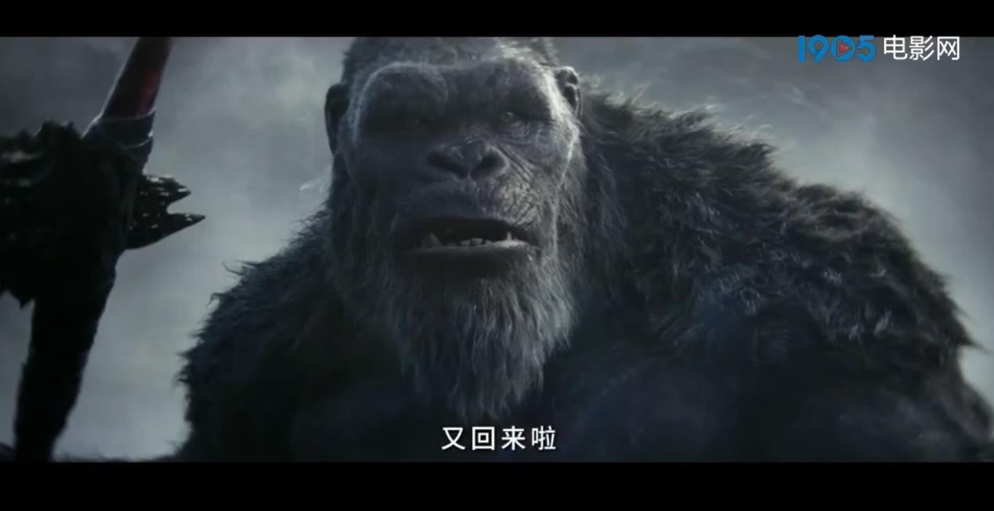 破次元壁了！《熊出沒》聯動《哥斯拉大戰金剛2》(圖2)