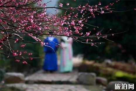 2024超山梅花節是什么時候