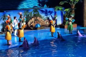 大連老虎灘海洋公園表演時間表2024