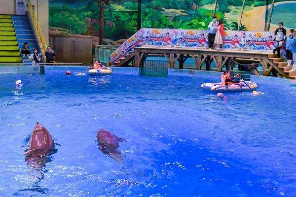 武漢海昌極地海洋公園停車場收費標準