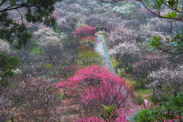 2024蘇州香雪海景區(qū)開放時間