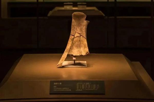 2024年殷墟博物館新館什么時(shí)候開館？附預(yù)約參觀和優(yōu)惠購(gòu)票攻略