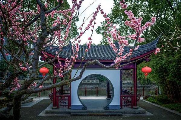 2024上海梅花節(jié)時(shí)間+地點(diǎn)+門(mén)票+交通+介紹