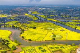 2024年重慶潼南菜花節什么時候舉行 時間-地點-門票