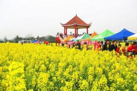 2024重慶潼南油菜花節(jié)門票+時間+地點+攻略