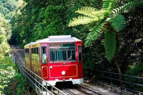 香港太平山纜車票價(jià)多少錢2024