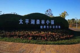 太平湖森林小鎮門票優惠政策2024