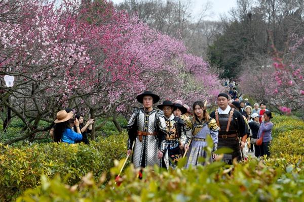 2024中國南京國際梅花節(jié)詳細游玩攻略