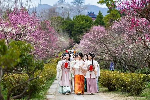 2024中國南京國際梅花節(jié)詳細游玩攻略