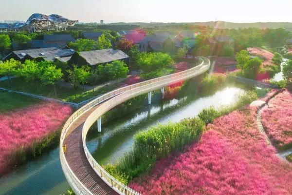 三臺山森林公園門票優惠政策2024