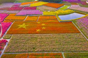 三臺山森林公園門票優惠政策2024