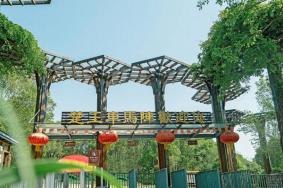 楚王車馬陣景區(qū)開放時間
