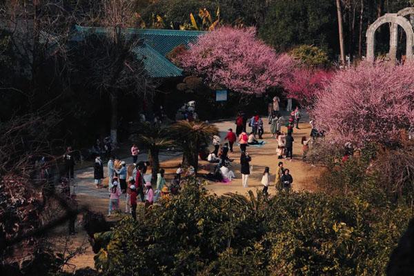 2024桂林虞山公園開放時(shí)間 附賞梅最佳時(shí)間