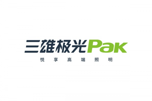 雙碳先行軍！三雄極光交出“兩會”新答卷(圖8)