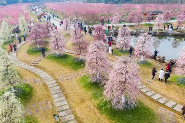 問(wèn)花村門票價(jià)格2024年