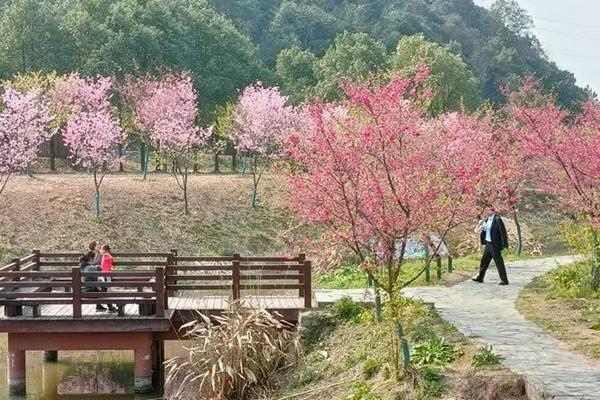 2024湘潭櫻花園門(mén)票價(jià)格 附優(yōu)惠政策