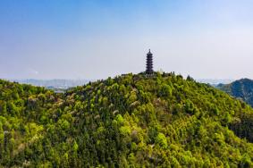 盤龍大觀園游樂項目介紹