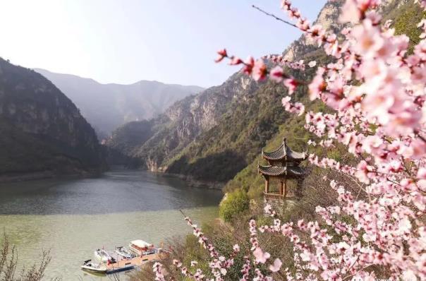 2024鄭國渠山野桃花節(jié)時間及地點