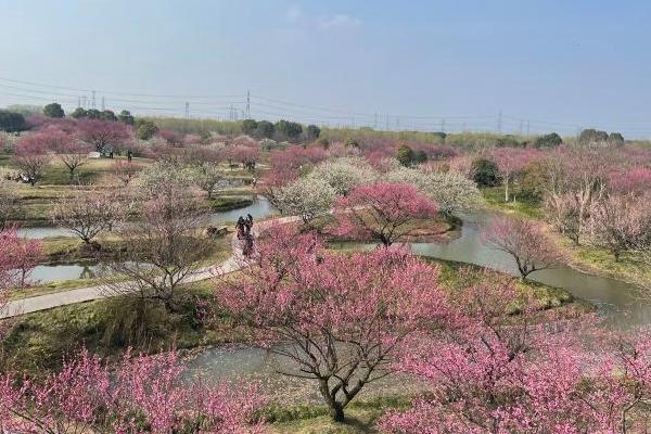 花開海上生態園門票價格2024