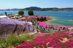 2024遷西五海莊園門票優惠政策