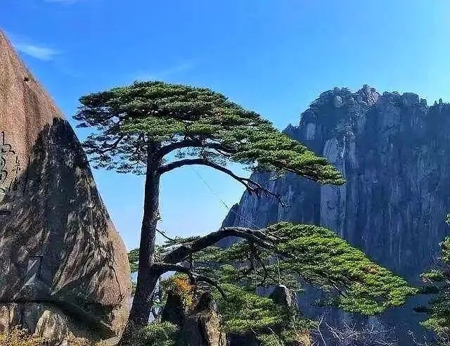 青海省水井巷集團(tuán)周報(2024年第11期)(圖5) 5.jpg