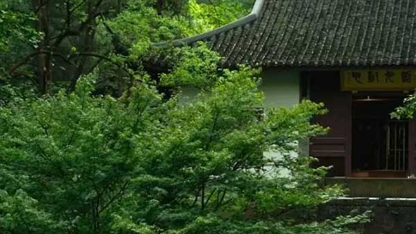 羅氏RHHBY.US減肥藥早期臨床試驗取得積極結果：24周后平均減重18
