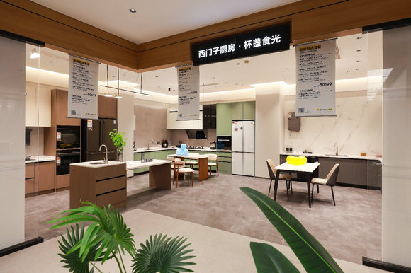 蘇寧易購聯合奧維云網發布《2024年中國冰洗產業發展白皮書》(圖3)