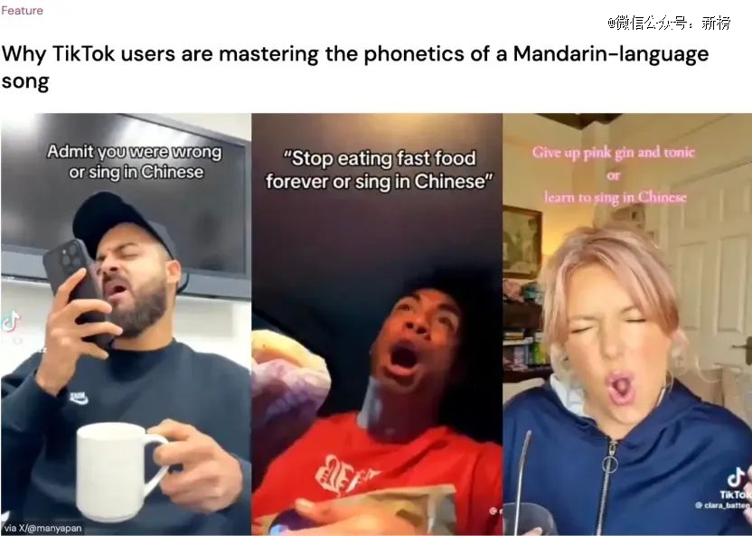 寶頂白芽：快時代下的慢茶藝復興