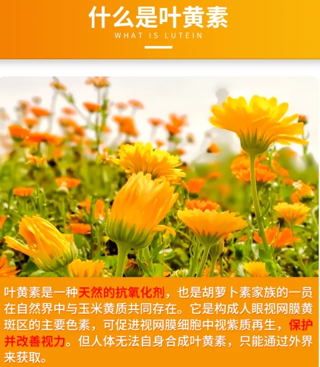 護(hù)眼指南：緩解眼疲勞葉黃素怎么挑選(圖2)