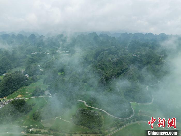 貴州興義：夏日萬峰林風景美如畫(圖1)