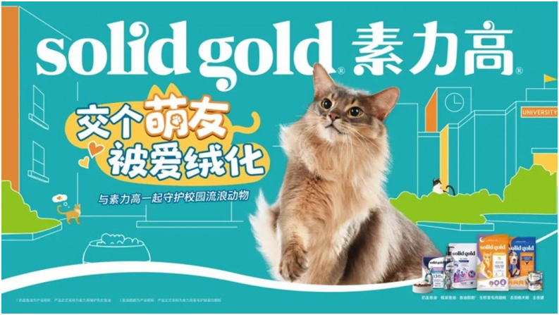 Solid Gold素力高攜手西安交通大學仙交貓貓社團，舉辦“交個萌友，被愛絨化”校園公益活動!