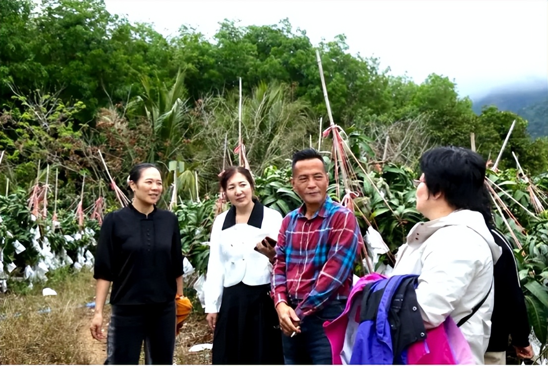 山海聯(lián)動(dòng)！晉瓊康養(yǎng)新生態(tài)鏈，“健康家園”在海南！(圖10)