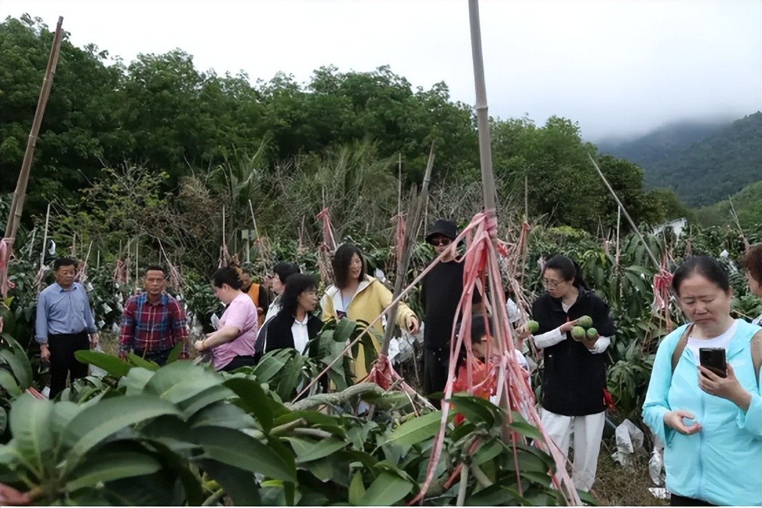 山海聯(lián)動(dòng)！晉瓊康養(yǎng)新生態(tài)鏈，“健康家園”在海南！(圖24)