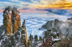 2022黃鶴樓虎年“歐氣十足”聯(lián)名禮盒價(jià)格及購(gòu)買方式