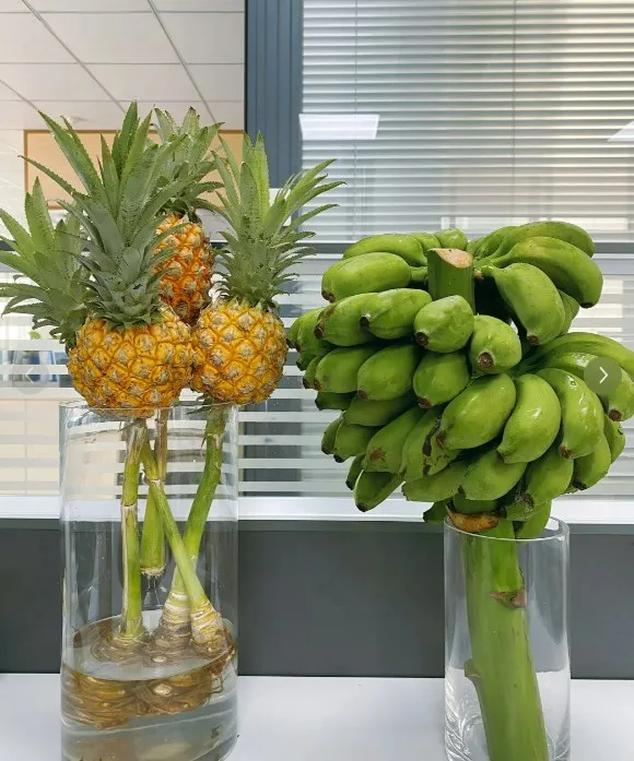 小鵬P7i鵬翼版發(fā)布：外觀升級內(nèi)飾豐富，性能與價格雙重優(yōu)勢！