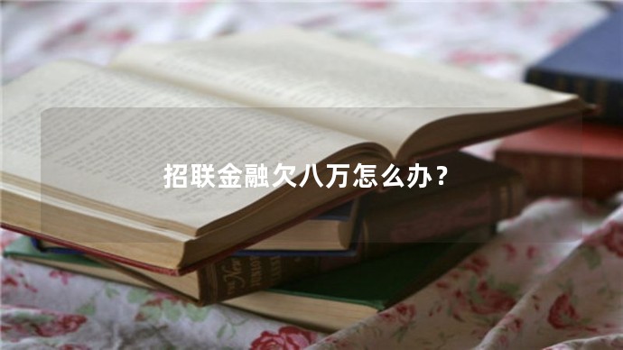 招聯金融欠八萬怎么辦？